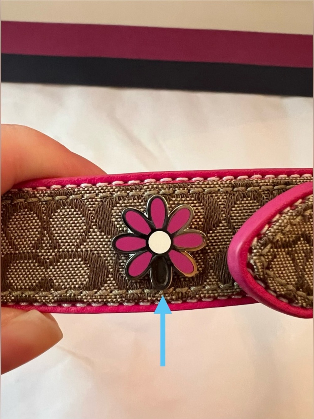 Coach Khaki & Pink Signature Mini C Flower Embellished Dog Collar - Picture 5 of 11
